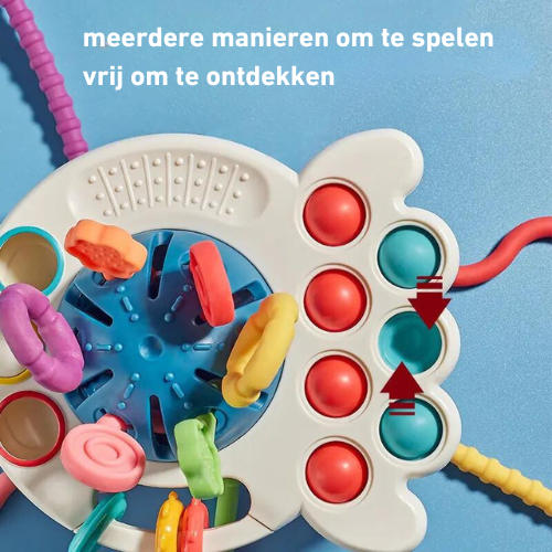 Sensory™ OntdekkingsSpeelgoed